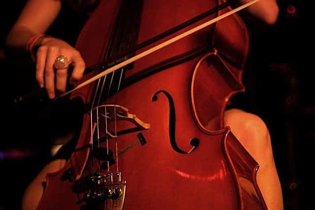 119516869_6be64522dd_z best cello for advanced students