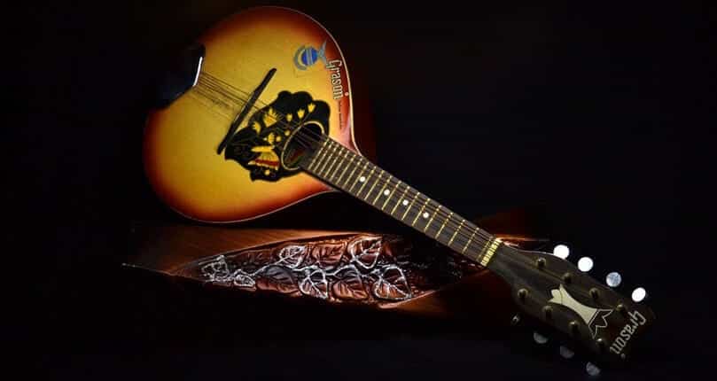 best-mandolin-guide mandolin set