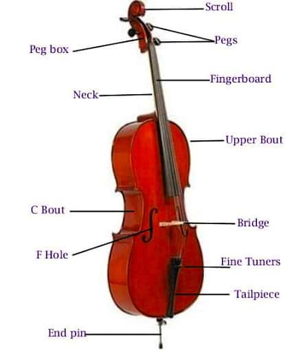 celloparts22
