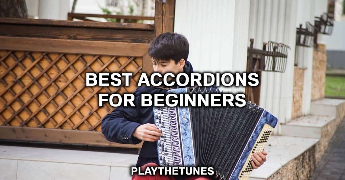 beginners accordion for sale