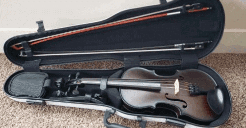 double violin case