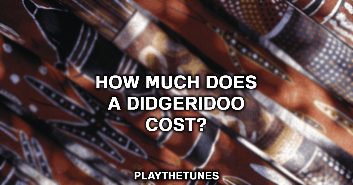 didgeridoo price