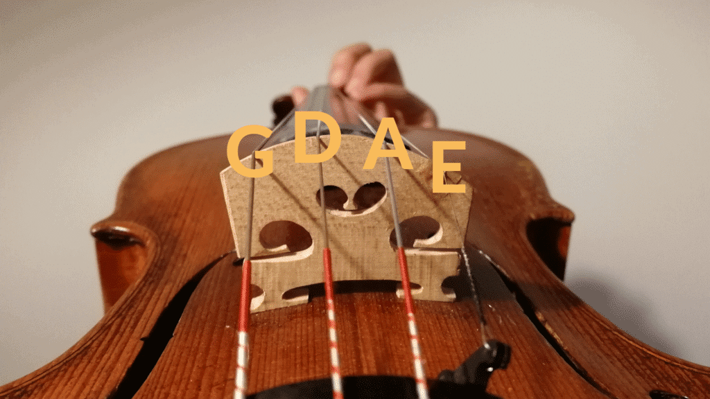 Do Violin Strings Make a Difference?