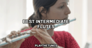 Best Flute For Intermediate Players (2022 Guide)