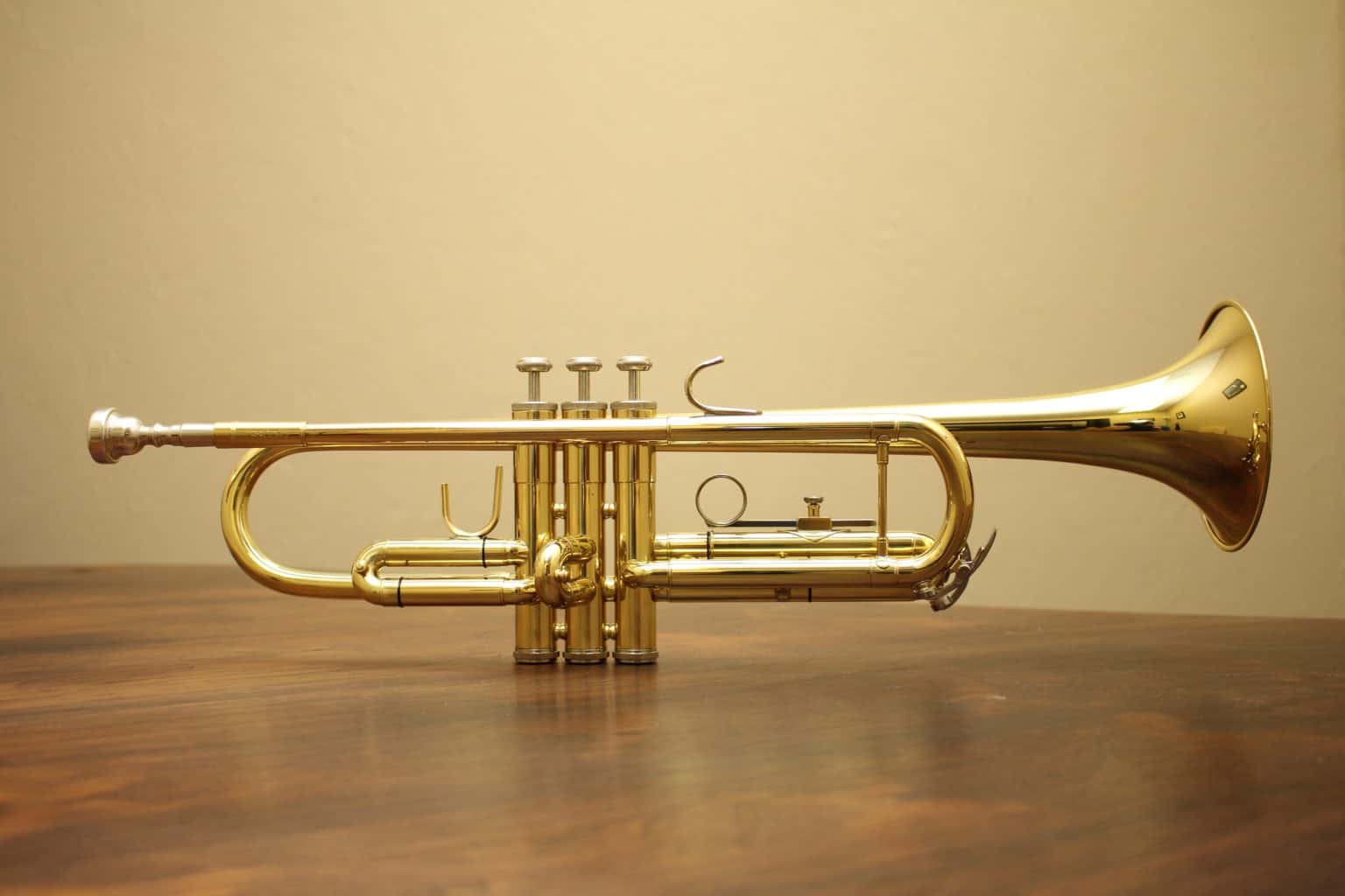Brass Instruments List (Updated 2023 Guide)
