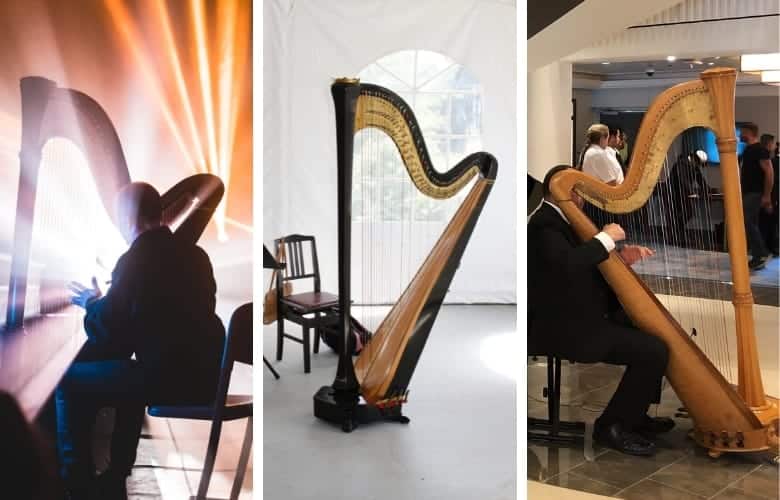 At the price of this instrument, a professional harp could be enough to buy a luxury home.