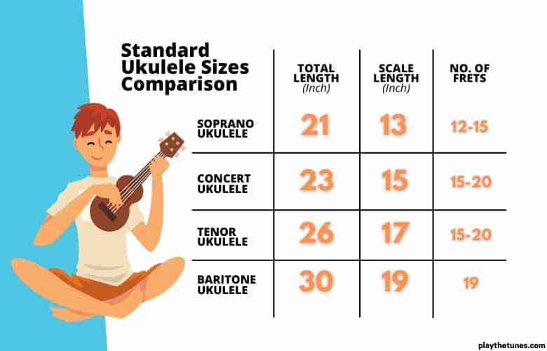 Standard Ukulele Sizes Comparison