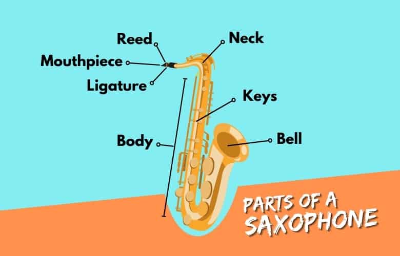 parts of saxophone