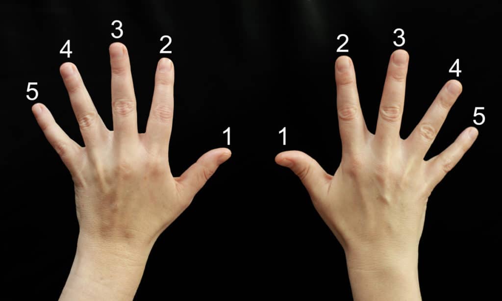 What are the Piano finger numbers?