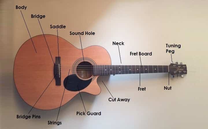 Components of a Guitar