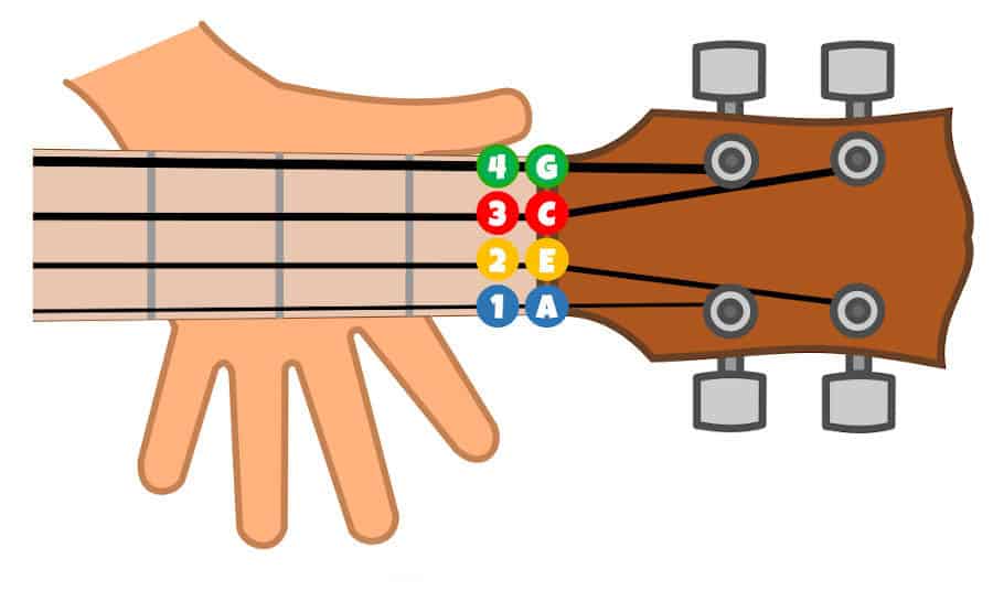 Ukulele String Notes, Names & Numbers | PlayTheTunes