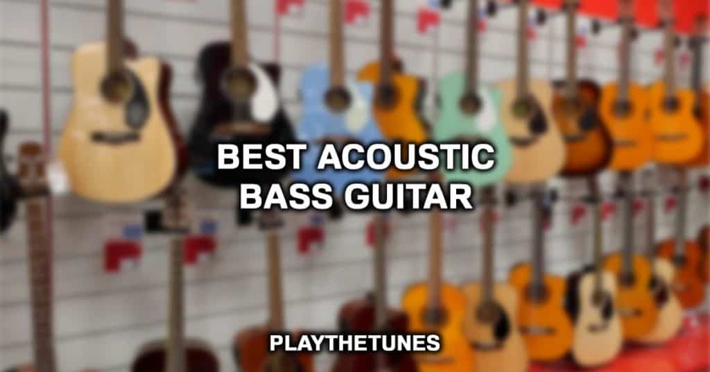Best Acoustic Bass Guitar