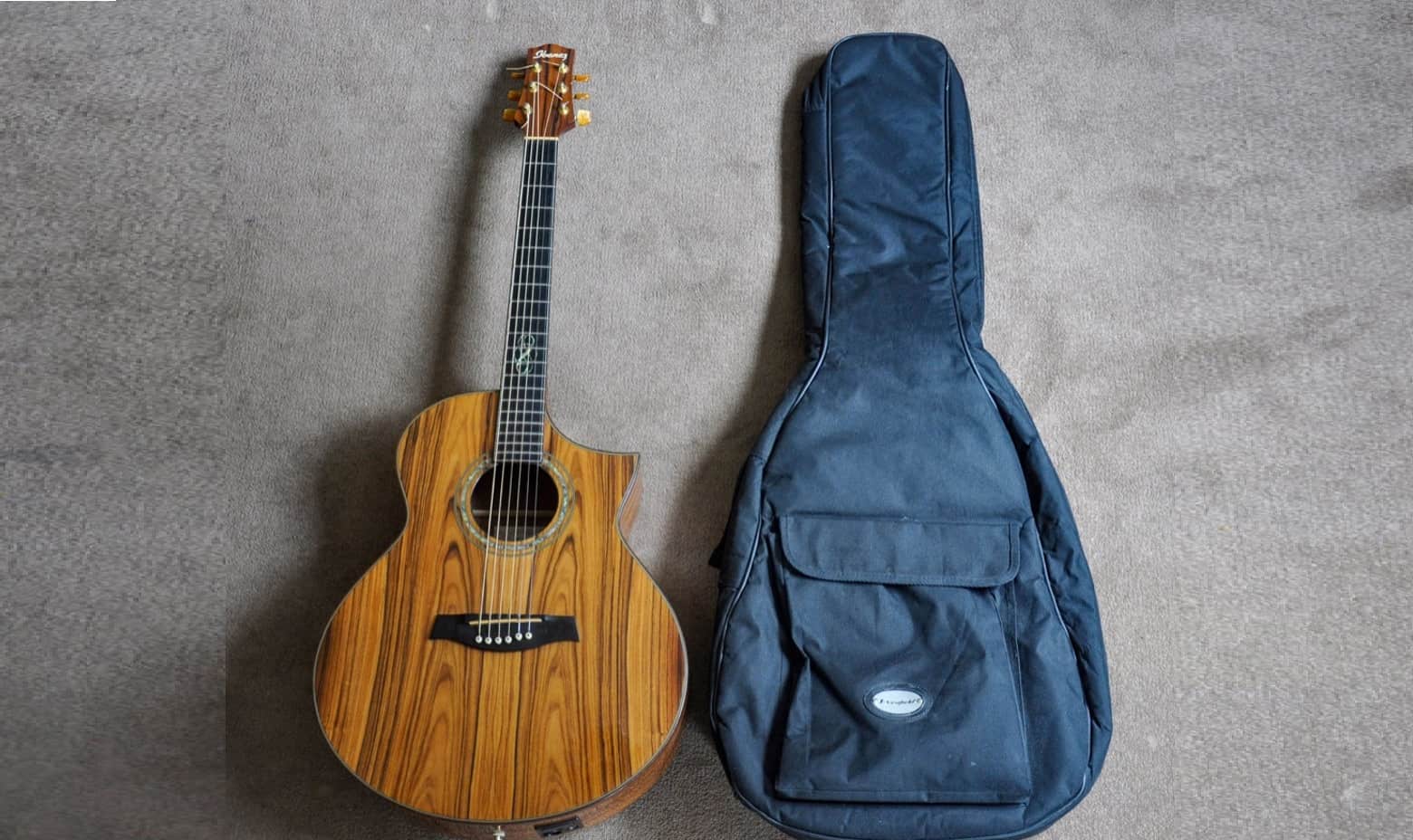 iBanez EW50 Review (Is It Any Good?)